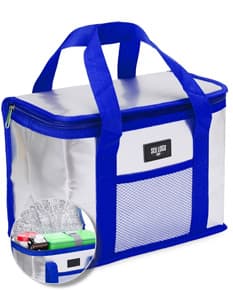 Bolsa térmica de 9,5 litros em cor azul, feita de material resistente e com alça ajustável.